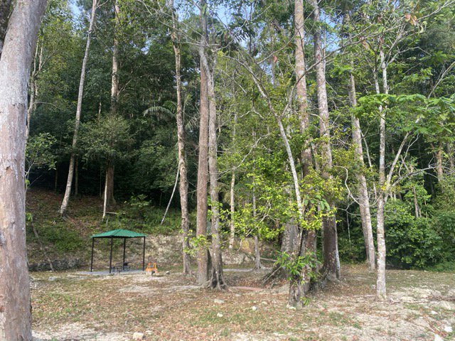 Laman Teduhan (Semi Wild)